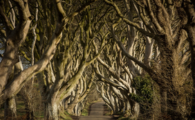 juego de tronos, cines