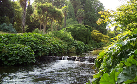 Montañas de Wicklow